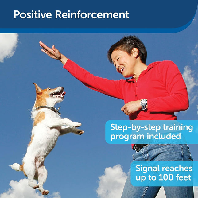 Treat&Train