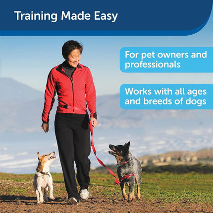 Treat&Train