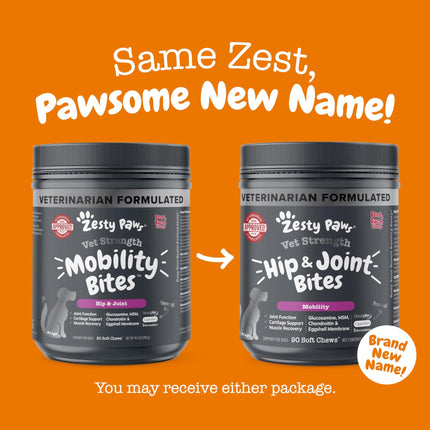 Zesty Paws